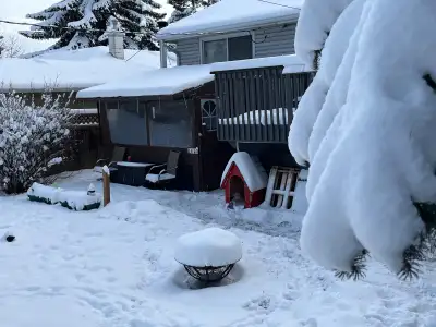 Snow removal  Residential, Marda Loop and area, View more