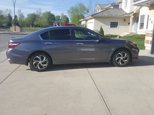 2017 / Honda Accord / LX -PRICE REDUCED in Cars & Trucks in Calgary - Image 2