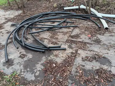 Bunch of abs, View more