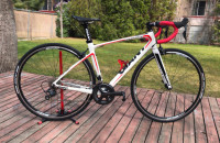 Giant Defy Comp 1 (Small) in Mint Condition