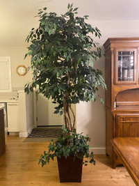 Artificial Fiscus Tree 8 foot