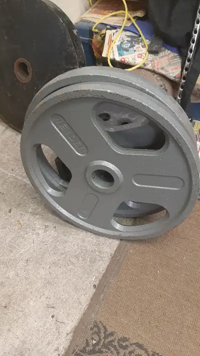 45lb Olympic plates x 2, View more