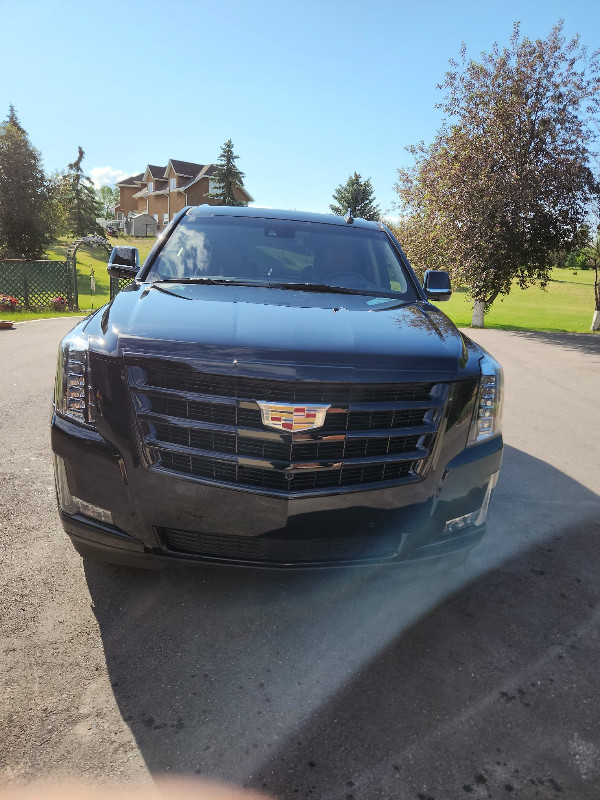 2020 Cadillac Escalade Premium Luxury in Cars & Trucks in Calgary