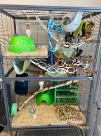Double Critter Nation Cage + Accessories 