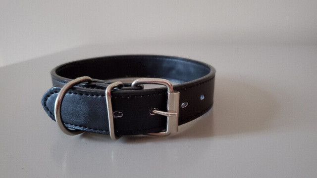 Collier pour chien cuire noir Black leather dog collar dans Accessoires  à Laval/Rive Nord