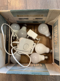 Philips Hue kit with 6 A19 Hue White bulbs and remote