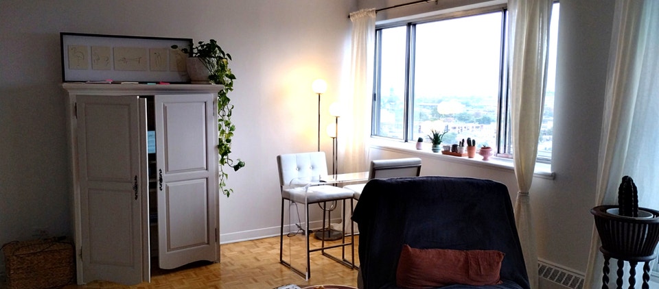 Grand 3 1/2 lumineux Outremont - novembre 4