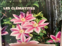 Magazines Fleurs, plantes Jardin