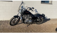 For Sale Harley Davidson Sportster 883 Motorcycle 