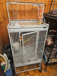 Cage pour perroquet 