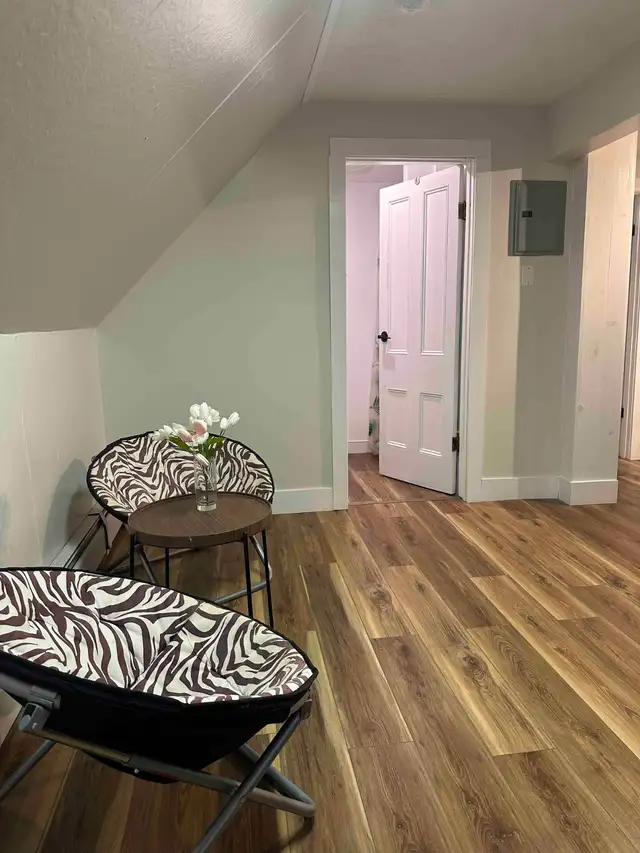 FULLY FURNISHED ONE-BEDROOM APARTMENT FOR RENT - CHARLOTTETOWN D in Long Term Rentals in Charlottetown - Image 4