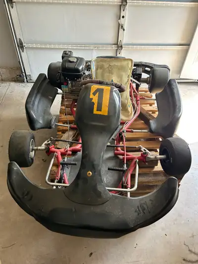 Cool kart, was running but need a pull start adjustment As is.