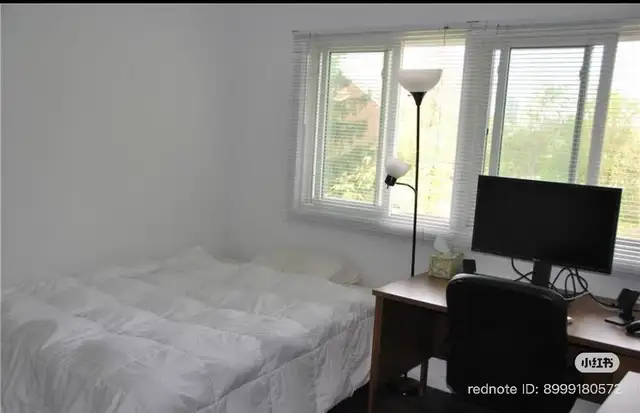 room for rent Waterloo Laurier in Room Rentals & Roommates in Kitchener / Waterloo - Image 5