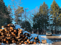 Firewood for Sale - Hardwood Seasoned - Delivery