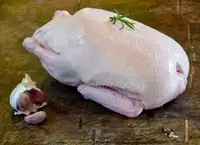 Organically Grown Whole Duck