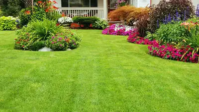 Residential service in sw, se, ne, nw. Proudly serving calgary for 14 years. Providing quality lawn...