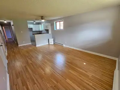 1er juillet - 4 1/2 renové! - $1375 - Secteur très tranquilles dans un rond-point. 2 grandes chambre...