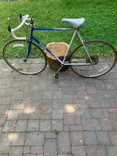 Steve Bauer Five Speed Bicycle , View more