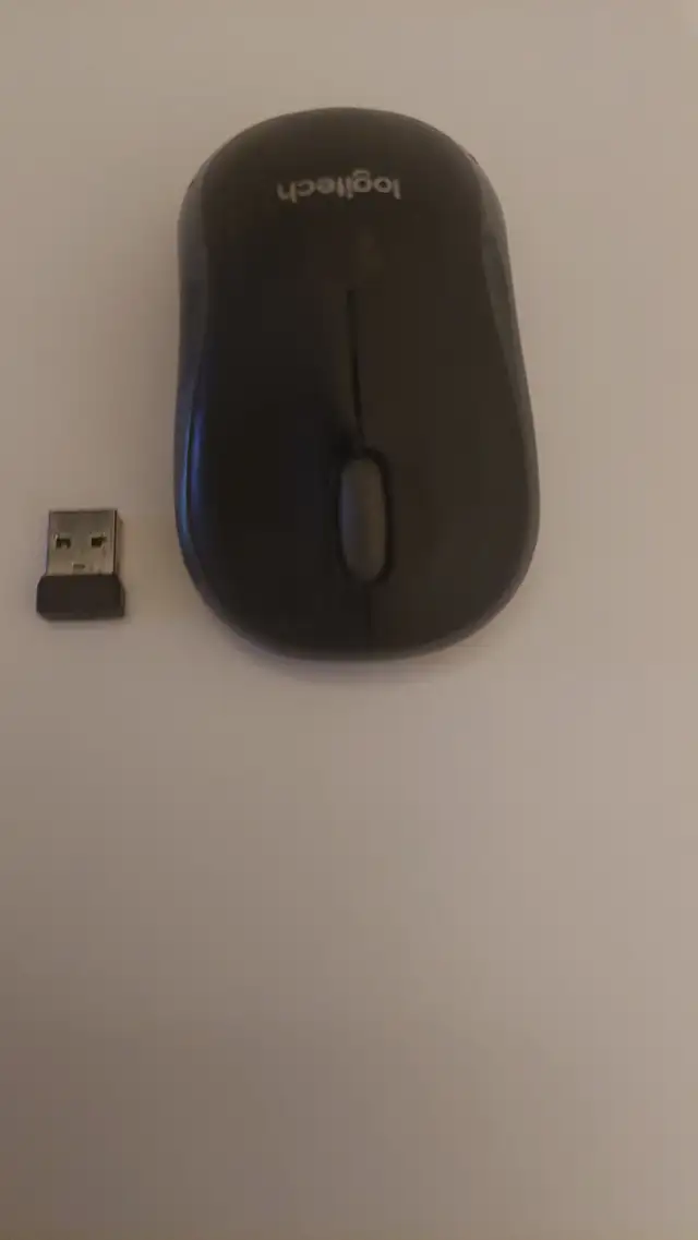 Logitech wireless mouse62863272553985121