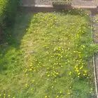 Wanted-General Help Needed – Sunday, July 12-Backyard Cleanup, View more