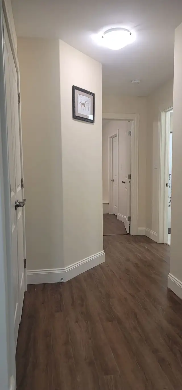 Furnished 1 bedroom basement apartment in Long Term Rentals in City of Halifax - Image 4