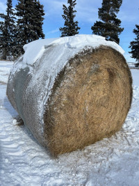 Quality Premium Round Hay Bales For Sale-Mixed Grass Hay, Very G