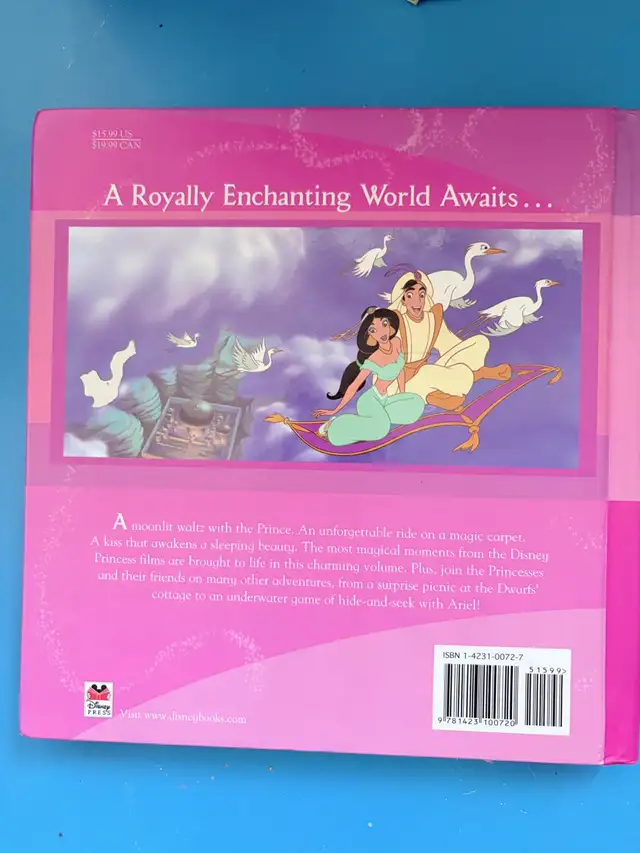 Disney Princess Collection story book | Children & Young Adult