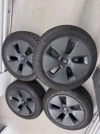 Got a winter set off a 2020 Tesla model Y. 235/55/18 OEM rims on Bridgestone Blizzak winters with 90...