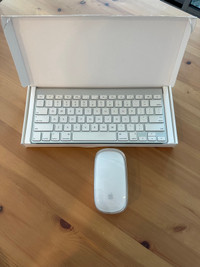 Apple Bluetooth Magic Keyboard and mouse 