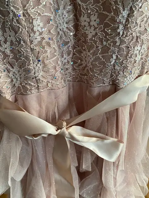 Beautiful LeChateau dress Prom Grad high-low shimmery rose S in Women's - Dresses & Skirts in Edmonton - Image 9