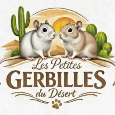 Les Petites Gerbilles du Désert – Élevage éthique à Montréal Membre de l’American Gerbil Society ✨ P...