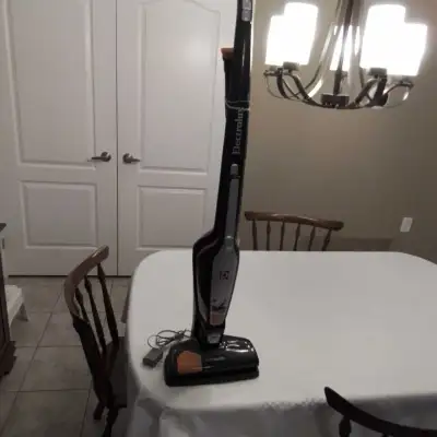 I'm selling a used Electrolux Ergorapido vacuum cleaner, a versatile 2-in-1 stick and handheld vacuu...