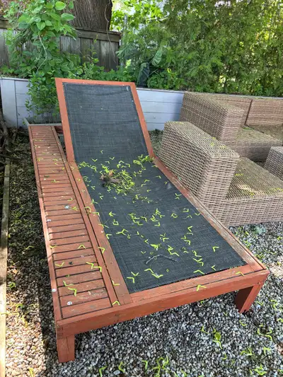 Wooden sunbathing bed, View more
