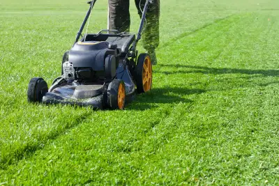 Lawnmower service- Etobicoke, View more