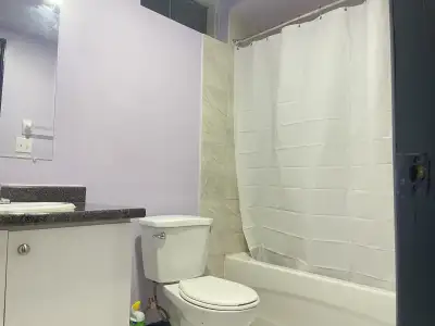 This is a basement apartment for rent in Mississauga, main intersection Hurontario and Bristol pot l...