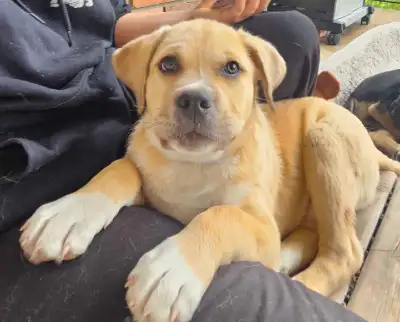 1 male left!!!!, View more