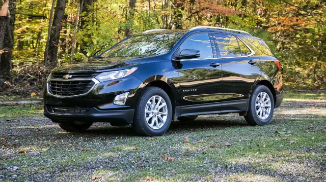 Windsor to Mississauga Rideshare 