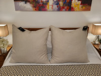 Luxury Stone Washed 100% Linen Pillows (New) (Made in Italy)