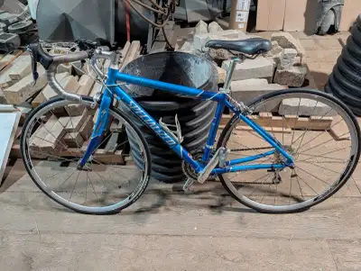 Specialized Dolce Elite, View more
