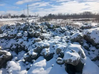 Free Clean Fill-Dirt in Caledon, View more