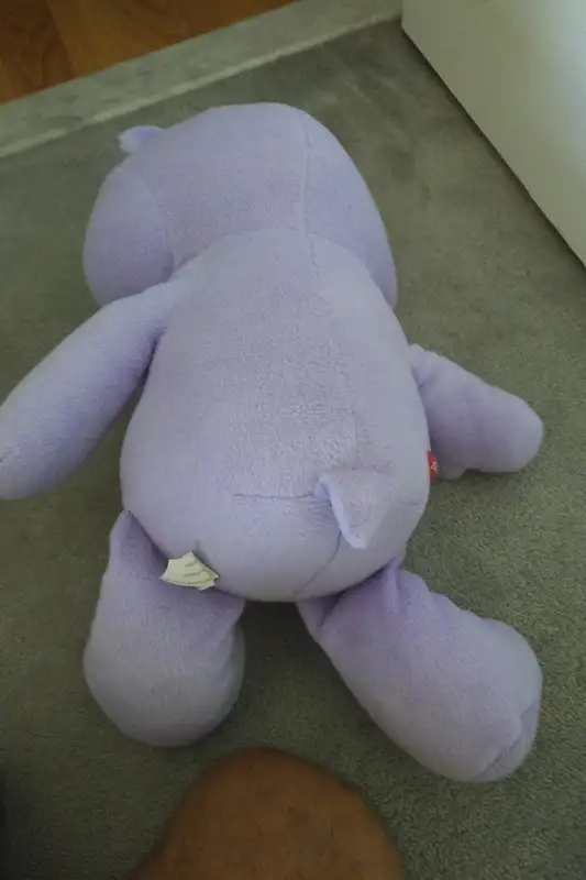 Lot Price for Vintage Care Bears - Purple Share Bears in Toys & Games in Ottawa - Image 6