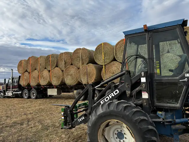 Beautiful Alfalfa Mixed Hay – Ready Now! in Other in Red Deer - Image 2