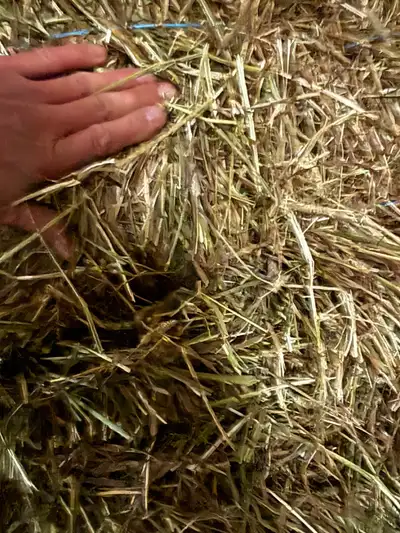 Small Bale Hay, View more