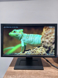 Dell LED Monitor E2011HC