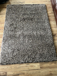 Area Rug - ~5.5ft x 7.5ft