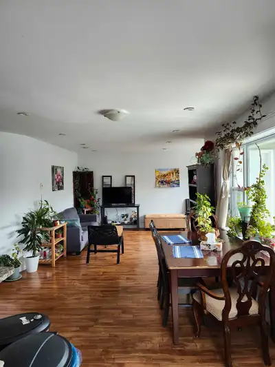 Room for Rent URGENTLY