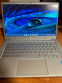 HP Chromebook 14-na1010ca