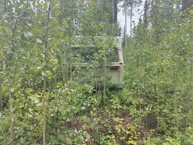 5.1 Acres For Sale Near Stuart Lake, BC in Land for Sale in Downtown-West End - Image 8
