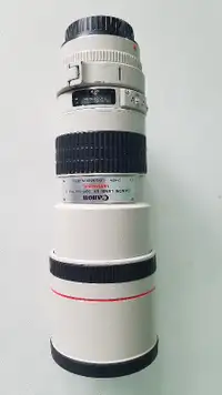 Canon 300mm F4L non IS lens