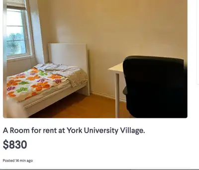 A bright and quiet Room with sharing washroom from November 1 at York University Village. ($830) It...